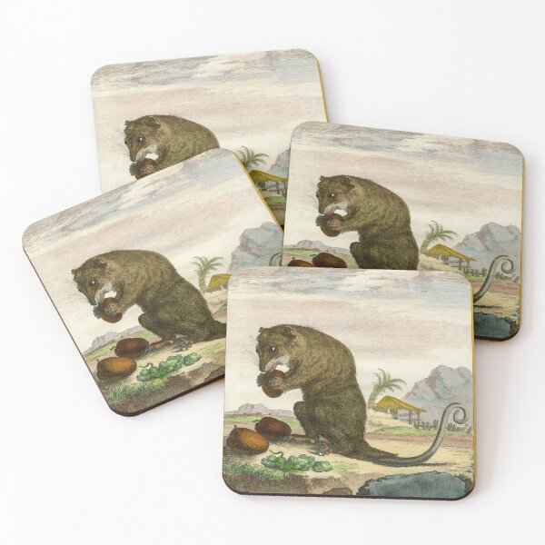 Item preview, Possum drawn in 1780 for Comte de Buffon designed and sold by TerryKerrImages.