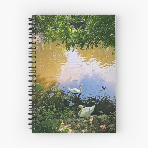 Item preview, murky pond designed and sold by psychoshadow.