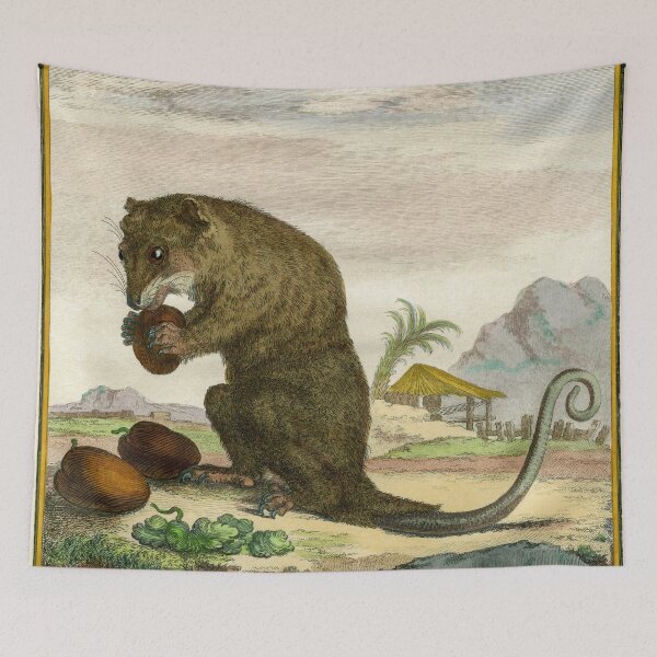 Item preview, Possum drawn in 1780 for Comte de Buffon designed and sold by TerryKerrImages.