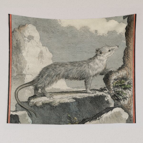 Item preview, Illinois opossum, drawn 1780 for Comte de Buffon designed and sold by TerryKerrImages.