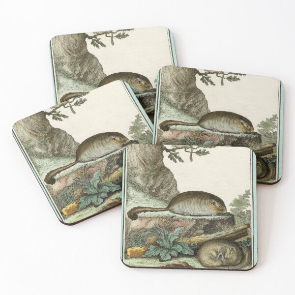 Item preview, Dormice drawn in 1780 for Comte de Buffon designed and sold by TerryKerrImages.