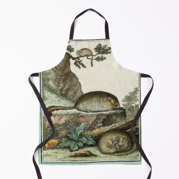 Item preview, Dormice drawn in 1780 for Comte de Buffon designed and sold by TerryKerrImages.