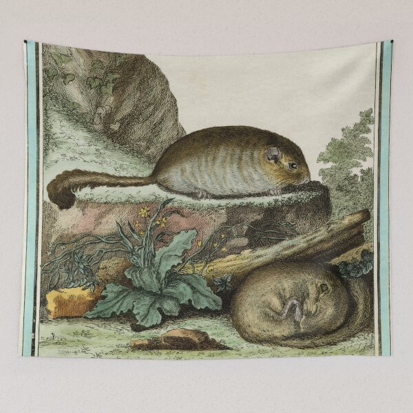 Item preview, Dormice drawn in 1780 for Comte de Buffon designed and sold by TerryKerrImages.