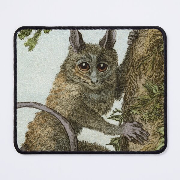 Item preview, Tarsier with large eyes and long fingers designed and sold by TerryKerrImages.