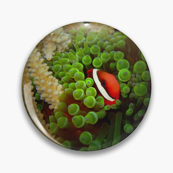 Item preview, Vibrant Clownfish: Emerald Ocean Reef Art designed and sold by Mayuri Japan Studio.