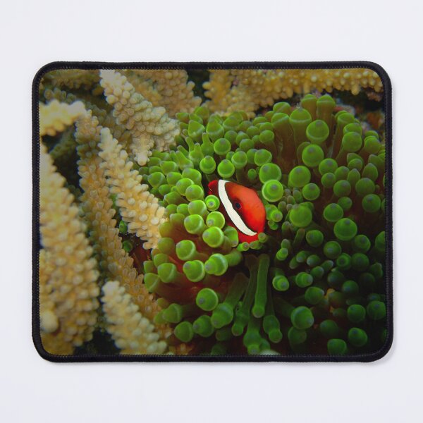 Item preview, Vibrant Clownfish: Emerald Ocean Reef Art designed and sold by Mayuri Japan Studio.