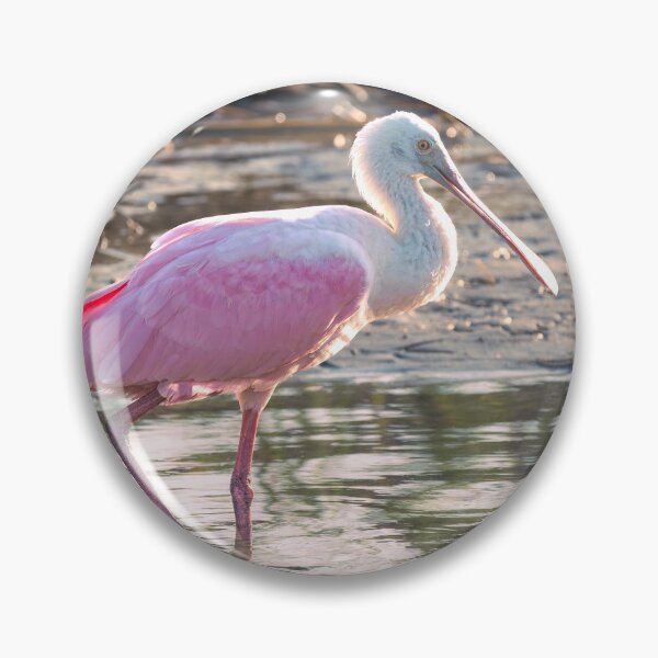 Item preview, Pink Glow of a Roseate Spoonbill designed and sold by Debra Martz.