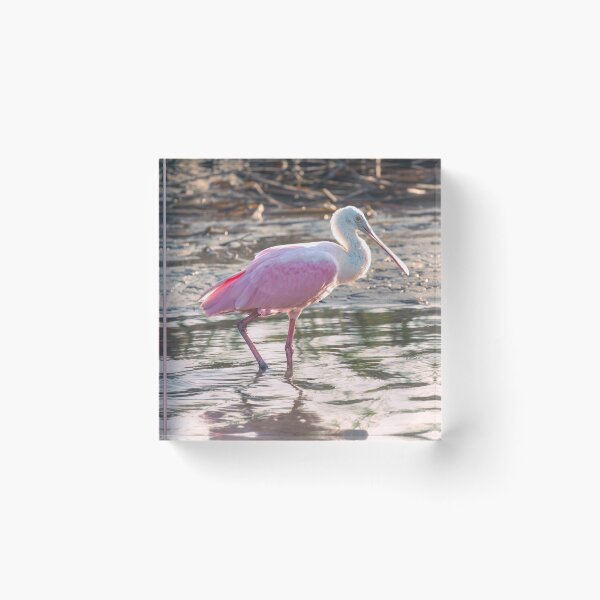 Item preview, Pink Glow of a Roseate Spoonbill designed and sold by Debra Martz.