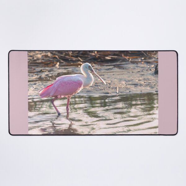 Item preview, Pink Glow of a Roseate Spoonbill designed and sold by Debra Martz.