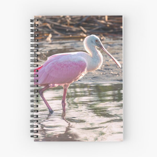 Item preview, Pink Glow of a Roseate Spoonbill designed and sold by Debra Martz.