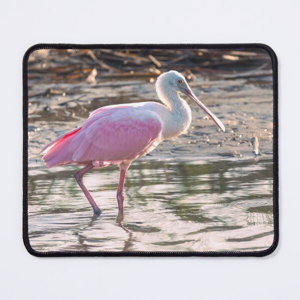 Item preview, Pink Glow of a Roseate Spoonbill designed and sold by Debra Martz.