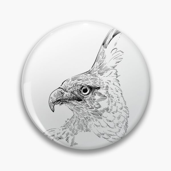 Item preview, Eagle hawk line art sketch  designed and sold by midsketcher.