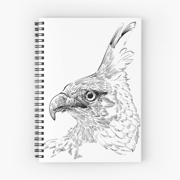 Item preview, Eagle hawk line art sketch  designed and sold by midsketcher.