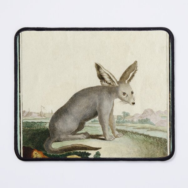 Item preview, Unknown animal, drawn 1780 for Comte de Buffon designed and sold by TerryKerrImages.