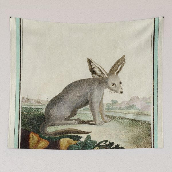 Item preview, Unknown animal, drawn 1780 for Comte de Buffon designed and sold by TerryKerrImages.