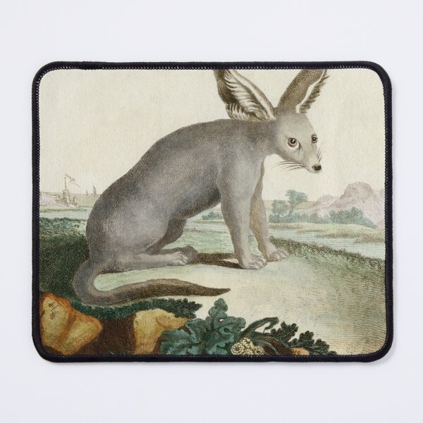 Item preview, Unknown animal, possibly a Fennec fox, drawn 1780 designed and sold by TerryKerrImages.