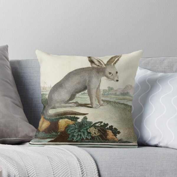 Item preview, Unknown animal, possibly a Fennec fox, drawn 1780 designed and sold by TerryKerrImages.