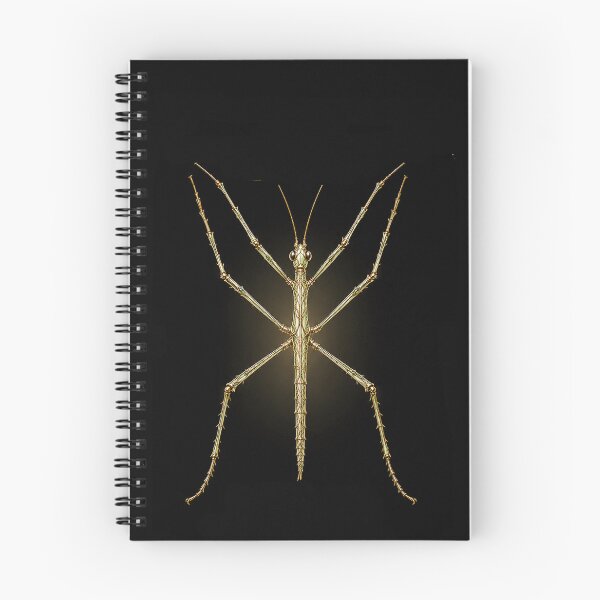Item preview, Celestial Stick Insect designed and sold by PXLSKN.