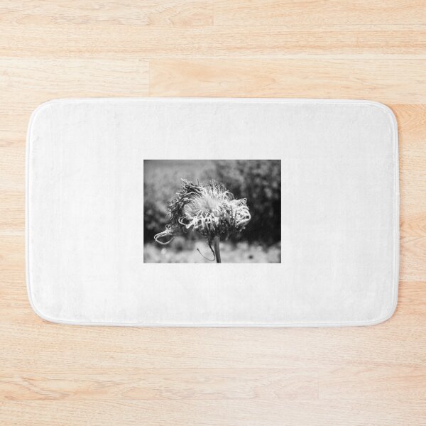 Item preview, Black And White Macro Of A Dried Thistle Seed Head With Wilted Petals And Textured Decay designed and sold by Nmallia.