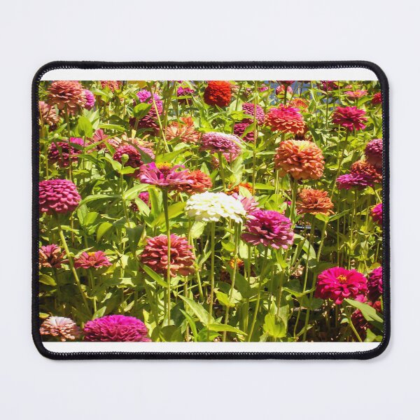 Item preview, Vibrant Zinnia Flower Garden With Colorful Summer Blooms and Lush Green Stems designed and sold by Nmallia.