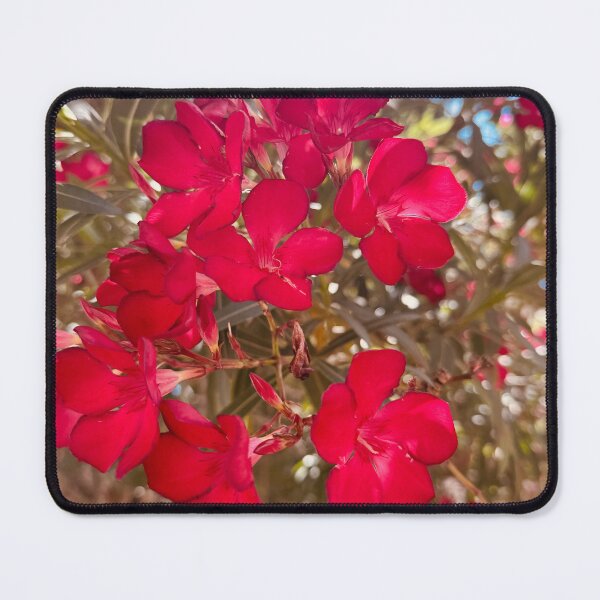 Item preview, Radiant Crimson Red Oleander Blossom Shrub designed and sold by BalkanBloom.
