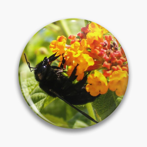 Item preview, Black Bee On Orange Lantana Flower Closeup In Sunny Garden Pollinating Nectar designed and sold by Nmallia.