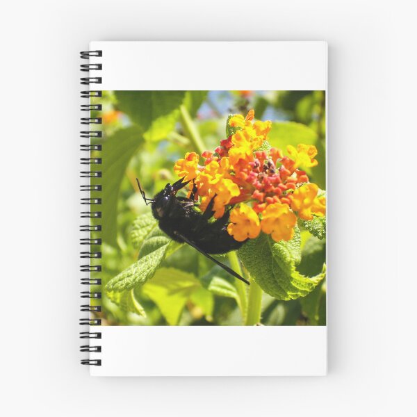 Item preview, Black Bee On Orange Lantana Flower Closeup In Sunny Garden Pollinating Nectar designed and sold by Nmallia.