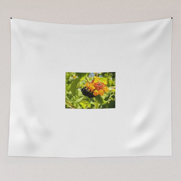 Item preview, Black Bee On Orange Lantana Flower Closeup In Sunny Garden Pollinating Nectar designed and sold by Nmallia.