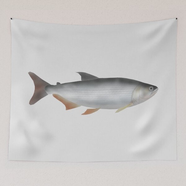 Item preview, Tiete tetra designed and sold by fishfolkart.