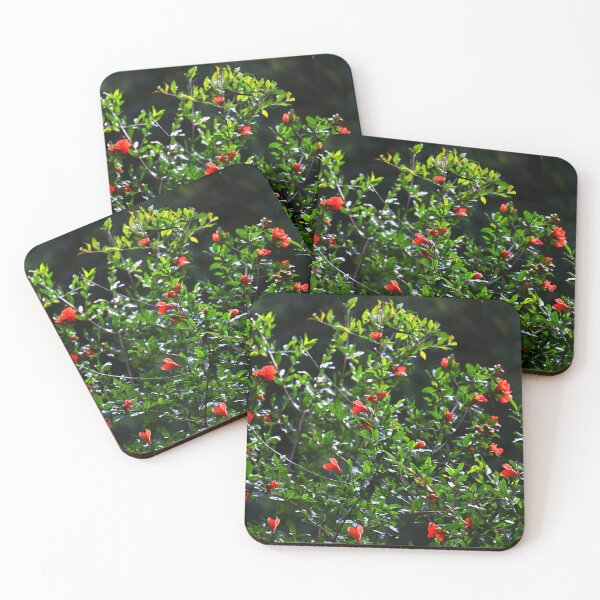 Item preview, Pomegranate flowers. designed and sold by Paul Pasco.