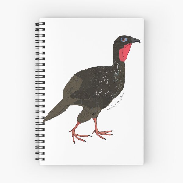 Item preview, Cauca guan designed and sold by flor-de-papel.