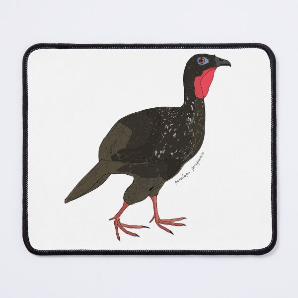 Item preview, Cauca guan designed and sold by flor-de-papel.