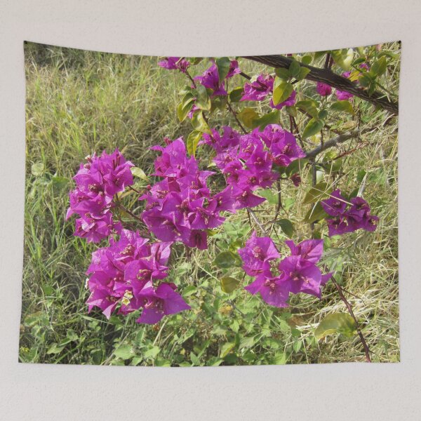 Item preview, Bougainvillea designed and sold by Alexander Krishchyunas.