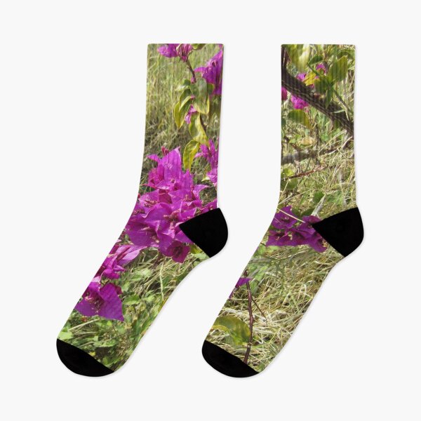 Item preview, Bougainvillea designed and sold by Alexander Krishchyunas.