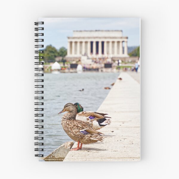 Item preview, Mallard ducks at Washington's Reflective Pool designed and sold by HMBPHOTO.
