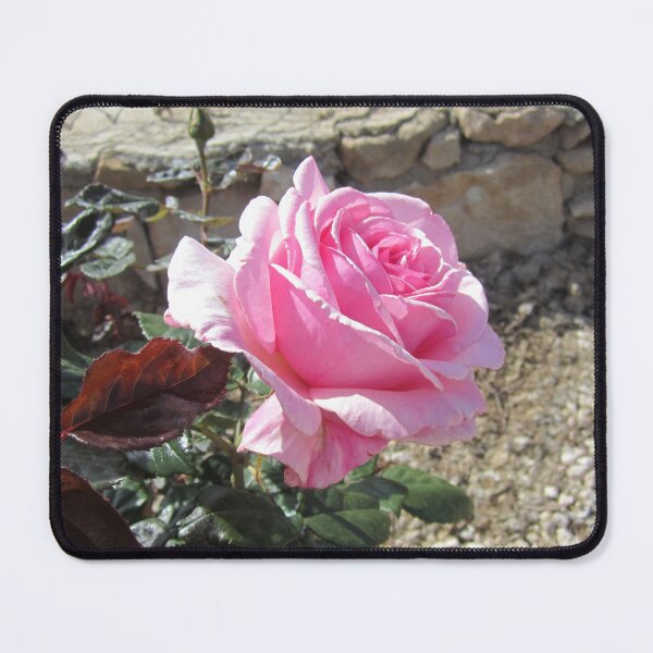 Item preview, Rose designed and sold by Alexander Krishchyunas.