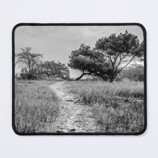 Item preview, Lonely Dirt Path Through Tall Grass Leading To Windblown Trees In Black And White Landscape designed and sold by Nmallia.