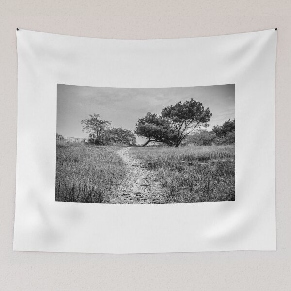 Item preview, Lonely Dirt Path Through Tall Grass Leading To Windblown Trees In Black And White Landscape designed and sold by Nmallia.