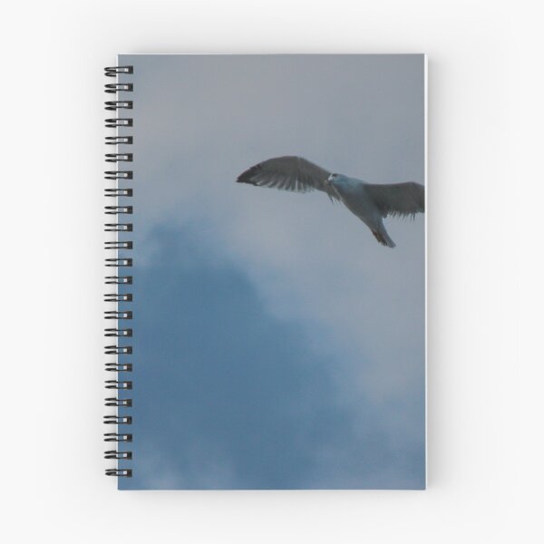 Item preview, Seagull Flying Over Blue Cloudy Sky Provides Peaceful Coastal Bird In Flight Photograph designed and sold by Nmallia.