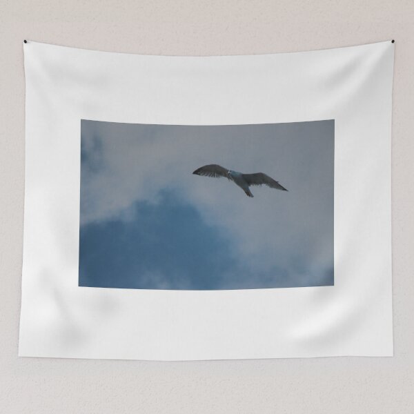 Item preview, Seagull Flying Over Blue Cloudy Sky Provides Peaceful Coastal Bird In Flight Photograph designed and sold by Nmallia.