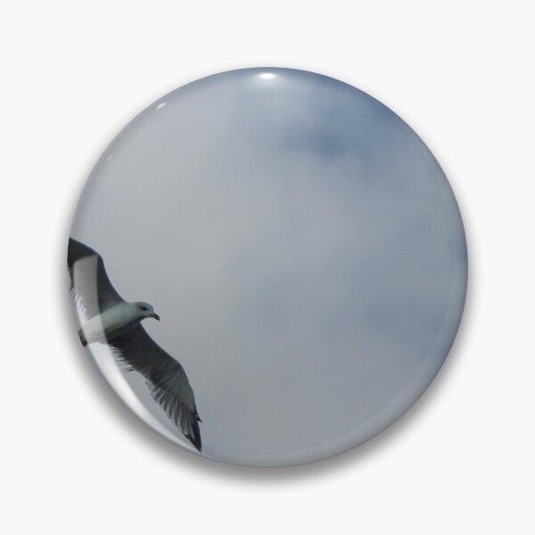 Item preview, Seagull Flying Over Blue Cloudy Sky Provides Peaceful Coastal Bird In Flight Photograph designed and sold by Nmallia.