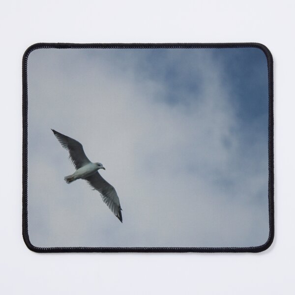 Item preview, Seagull Flying Over Blue Cloudy Sky Provides Peaceful Coastal Bird In Flight Photograph designed and sold by Nmallia.