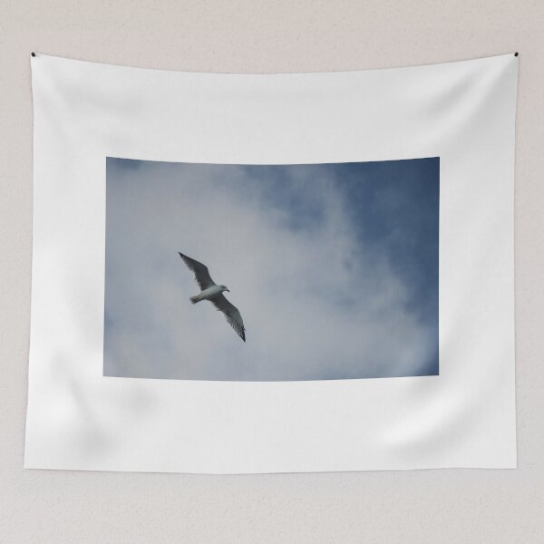 Item preview, Seagull Flying Over Blue Cloudy Sky Provides Peaceful Coastal Bird In Flight Photograph designed and sold by Nmallia.