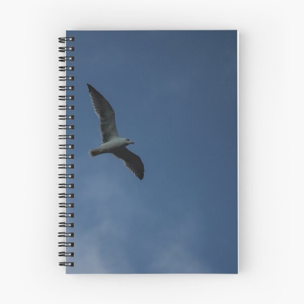 Item preview, Seagull Flying Over Blue Cloudy Sky Provides Peaceful Coastal Bird In Flight Photograph designed and sold by Nmallia.
