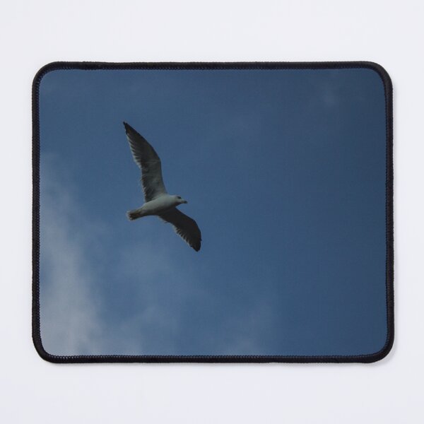 Item preview, Seagull Flying Over Blue Cloudy Sky Provides Peaceful Coastal Bird In Flight Photograph designed and sold by Nmallia.
