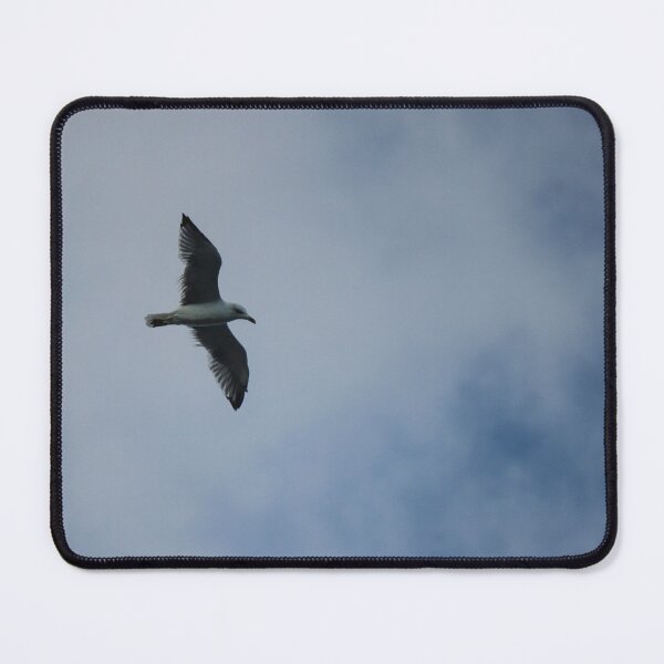 Item preview, Seagull Flying Over Blue Cloudy Sky Provides Peaceful Coastal Bird In Flight Photograph designed and sold by Nmallia.