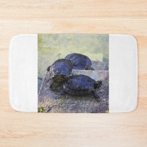 Item preview, Three Turtles Basking on Stone Steps by a Shallow Pond in Sunlit Wildlife Scene designed and sold by Nmallia.