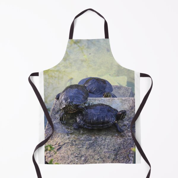 Item preview, Three Turtles Basking on Stone Steps by a Shallow Pond in Sunlit Wildlife Scene designed and sold by Nmallia.