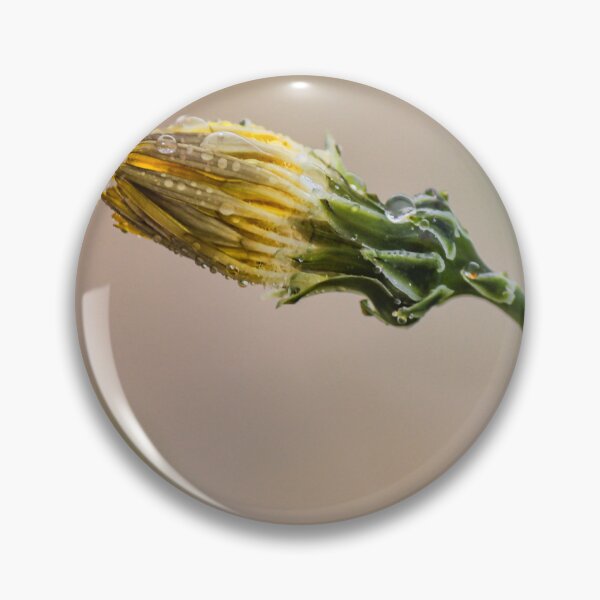 Item preview, Macro Dewy Yellow Flower Bud With Dandelion Seed And Water Droplets On Stem designed and sold by Nmallia.
