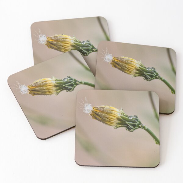 Item preview, Macro Dewy Yellow Flower Bud With Dandelion Seed And Water Droplets On Stem designed and sold by Nmallia.